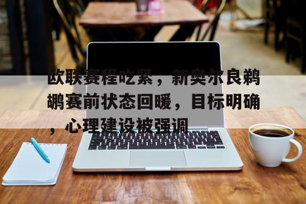 欧联阿贾克斯对里昂